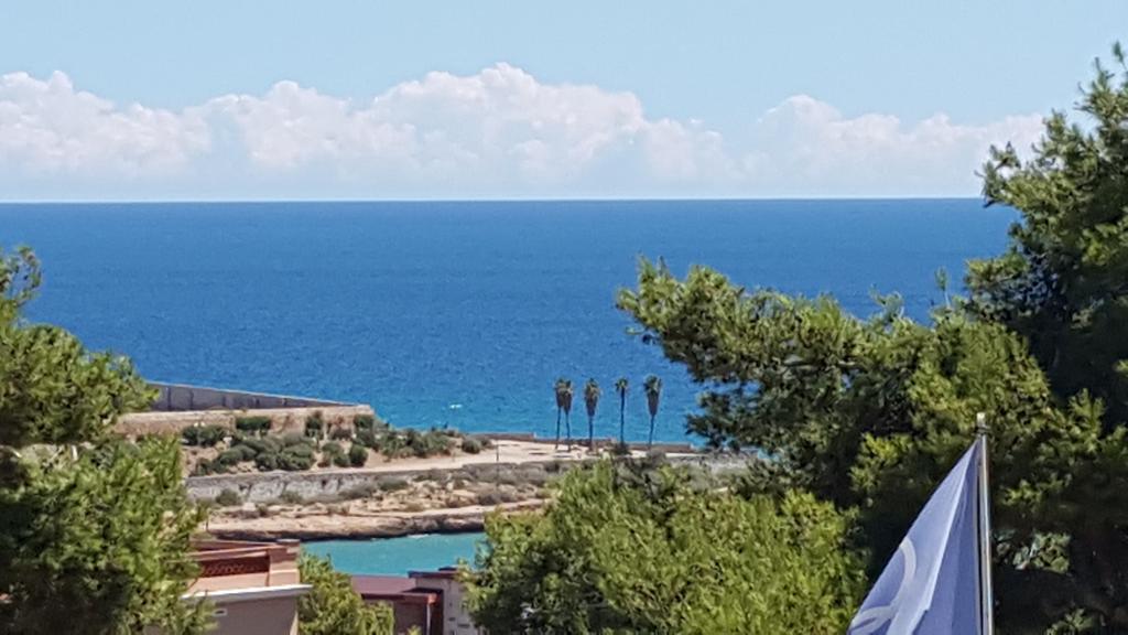 Bettatur Tarraco